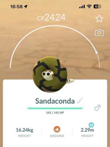 Sandaconda pokemon gen8 - pokemon, go