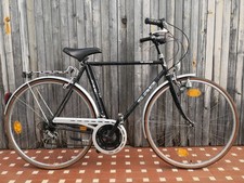 bicicletta Sab Uomo 28