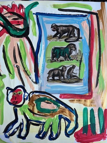 Animale cane foresta - , vergine
