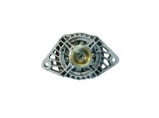 Originale Denso Alternatore