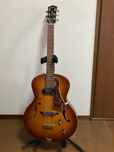 Chitarra elettrica archtop - chitarra,