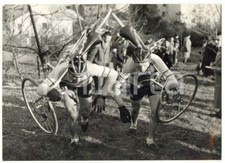 1956 BOLOGNA NAZIONALI CICLOCROSS Ciclisti NILUX portano in spalla la bici *Foto