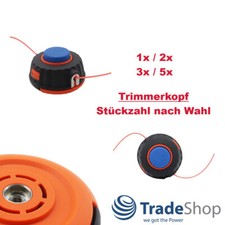 1x-5x testa filo testa