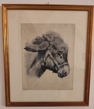 STUPENDO AQUARELLO " L 'ASINO " PERIODO 900