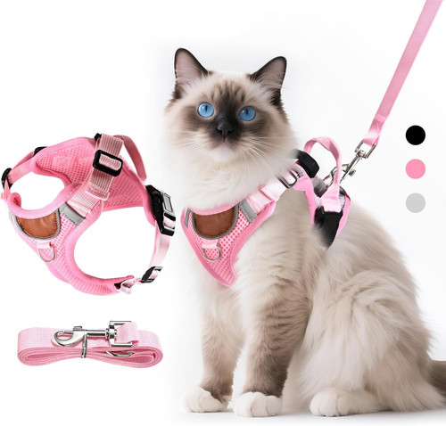 Pettorina per gatti regolabile - pettorina,