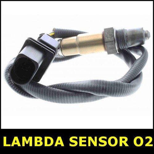 Sensore lambda after - after, cat