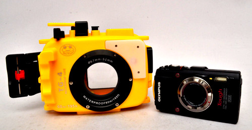 Fotografia subacquea seafrogs - subacquea,