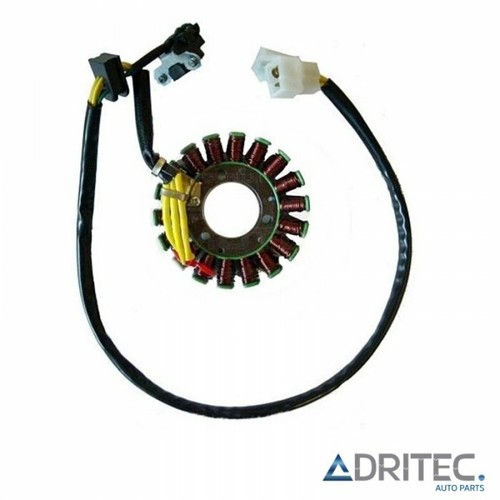 Alternatore statore - ✅,