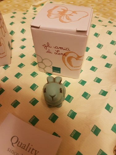 Meraviglioso mini coniglio - meraviglioso,