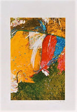 Gianni DOVA: serigrafia a