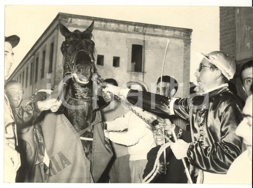 1955 napoli ippica - ippica, corsa