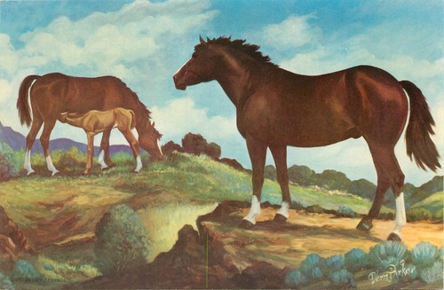 Oversize art postcard vern - oversize, a/s