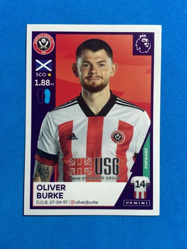 Panini sticker premier league - premier,
