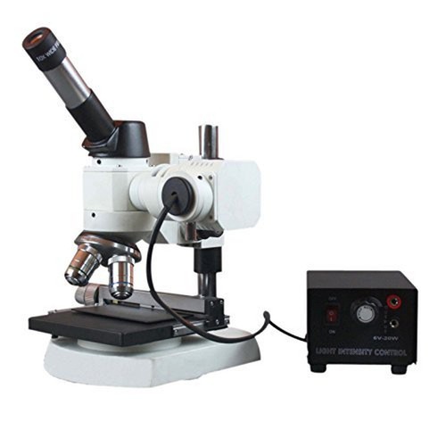 Radical 600x compatto - 600x,
