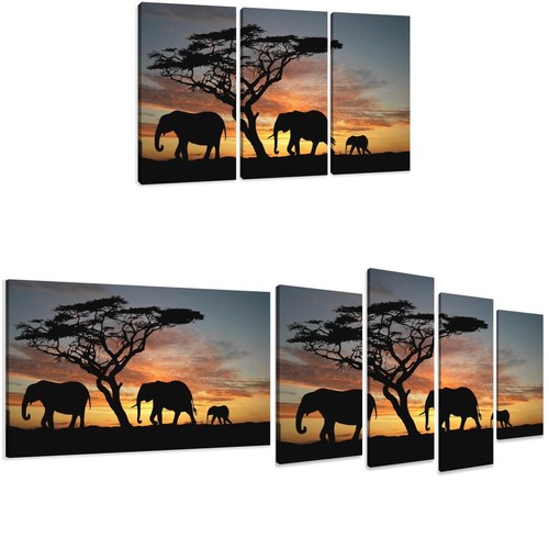 1509 africa quadri - 1509,