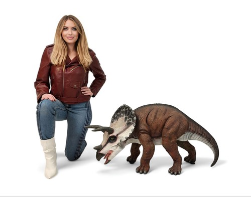 Statua dinosauro triceratopo