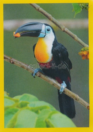 Panini national geographic - panini,