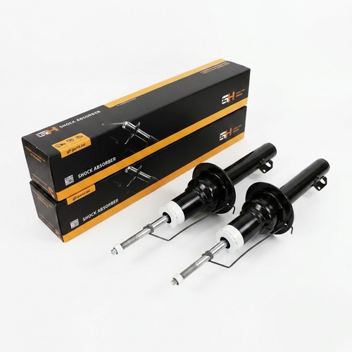 Coppia ammortizzatori gas - ammortizzatori, a