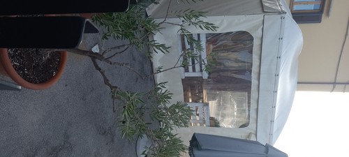 Gazebo 3x3 acciaio - 3x3,