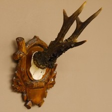 Corna di Cervo 6 Er Corna