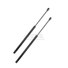 2 Molle A Gas Cofano Anteriore