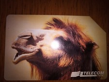 scheda telefonica ANIMALI PER