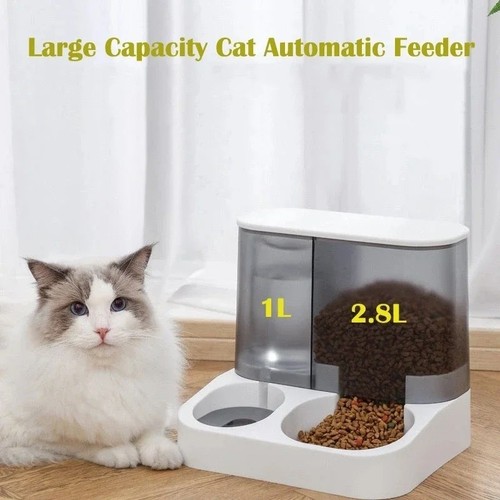 Dispenser automatico cibo e - di,