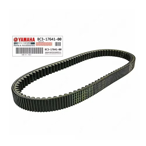 Cinghia trasmissione variatore - cinghia,