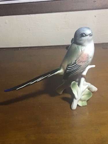 Karl ens oiseau sur branche - ens, la