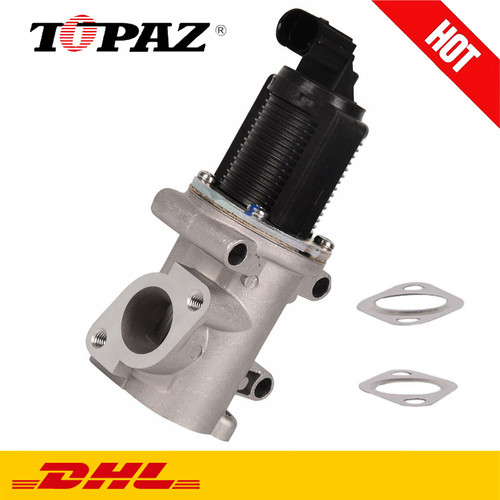 Valvola egr incl - valvola, guarnizioni