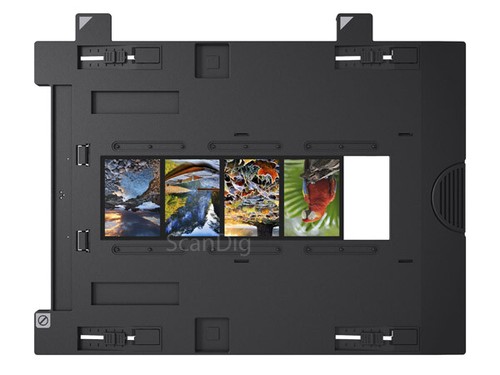Epson supporto pellicola - epson,
