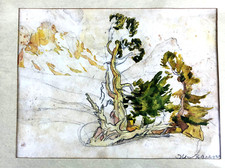 Acquerello/Bozzetto - ABETI