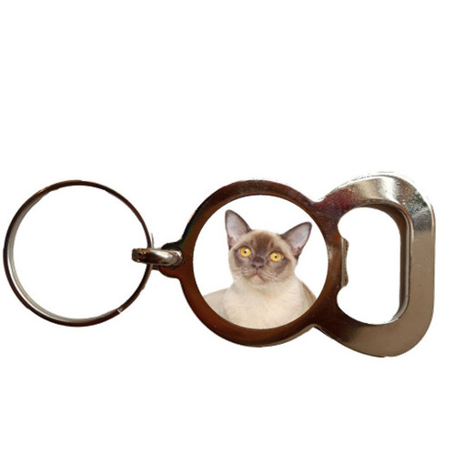 Burmese cat pet - burmese, bottle