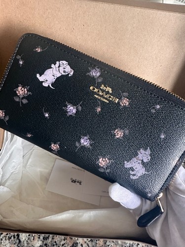 Dalmation coach - x,