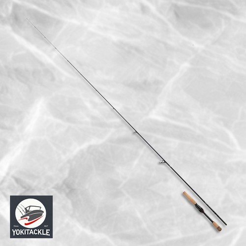 Daiwa steez shore competition - daiwa,