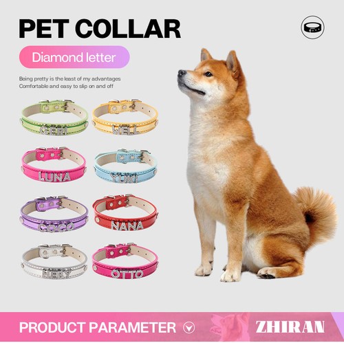 Collare cane personalizzato - , in
