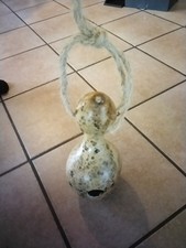 Zucca per uccellini 