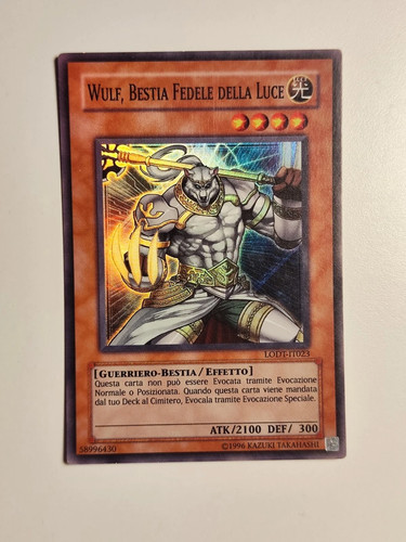 Wulf bestia fedele della luce - wulf,,