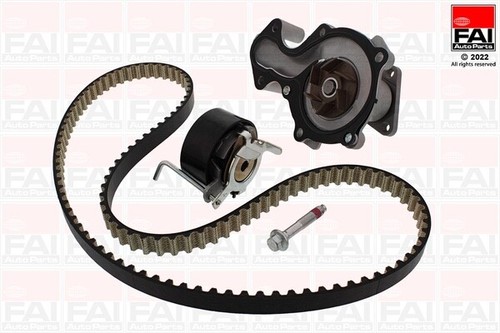 Kit cinghia distribuzione - cinghia,