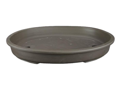 Vaso per bonsai - , giapponese