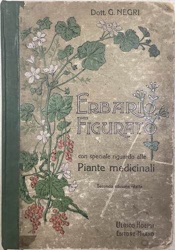 Erbario figurato giovanni - erbario, figurato-giovanni