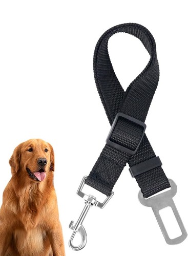 Cintura sicurezza per cani - cintura,