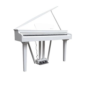Echord gp10w pianoforte - echord,