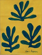 Dipinto olio su tela firmato