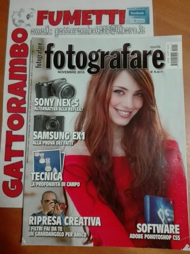 Fotografare anno 2010 - n.11,