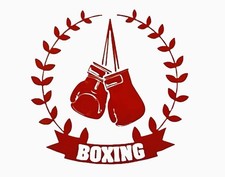 Boxer Boxe Boxe Club Palestra