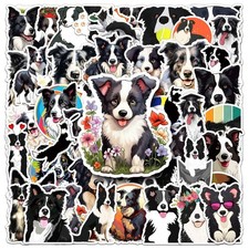 Adesivo Border Collie border