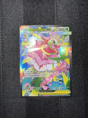 Mega meganium 272 217 asc - mega, meganium-ex
