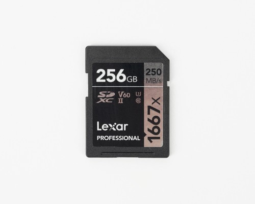 Scheda memoria lexar - scheda,