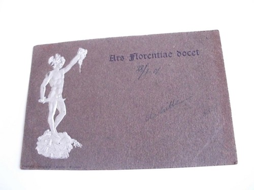 Firenze ars florentiae docet - florentiae,